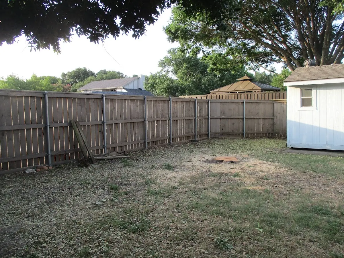 Cleared yard after professional tree removal in South Pittsburg