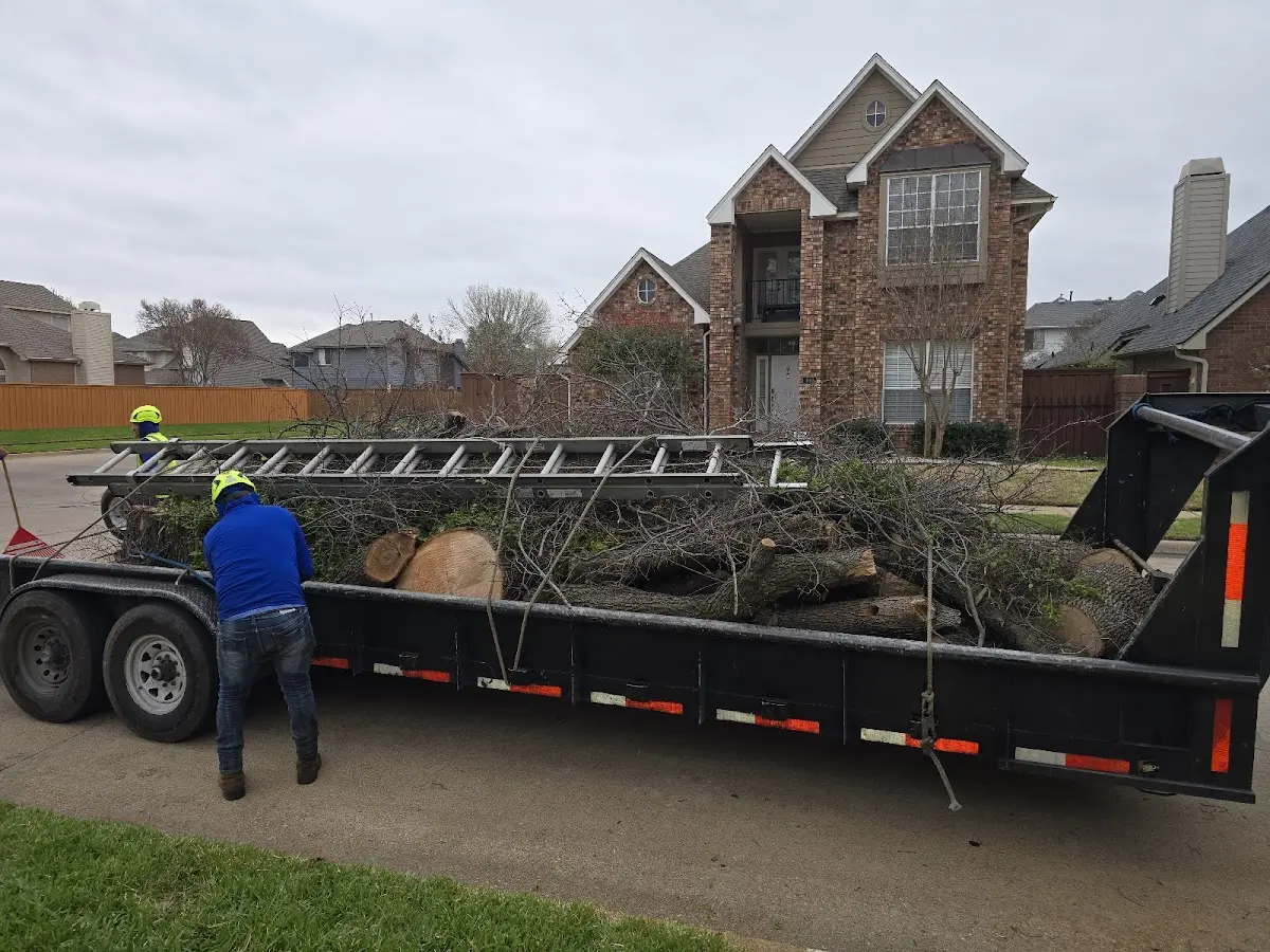 Expert Tree Removal with proper safety equipment in South Pittsburg